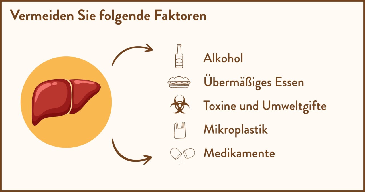 Risikofaktoren für Lebererkrankungen